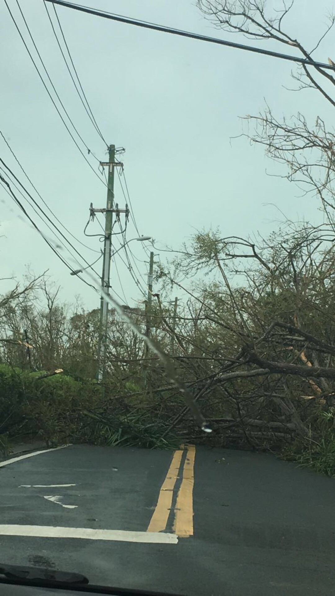 (Photo courtesy Brian Valentine)  Heavy trees block roads after Hurricane Maria hit Puerto Rico on Sept. 20.