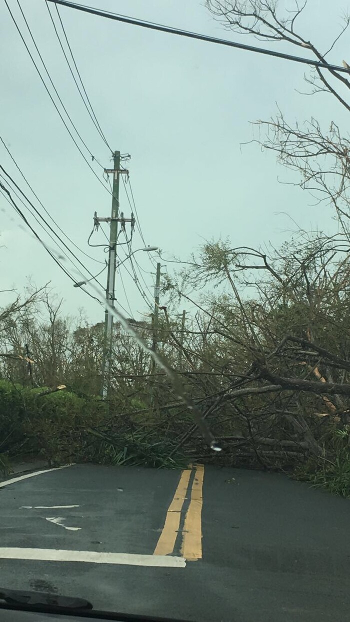 (Photo courtesy Brian Valentine)  Heavy trees block roads after Hurricane Maria hit Puerto Rico on Sept. 20.