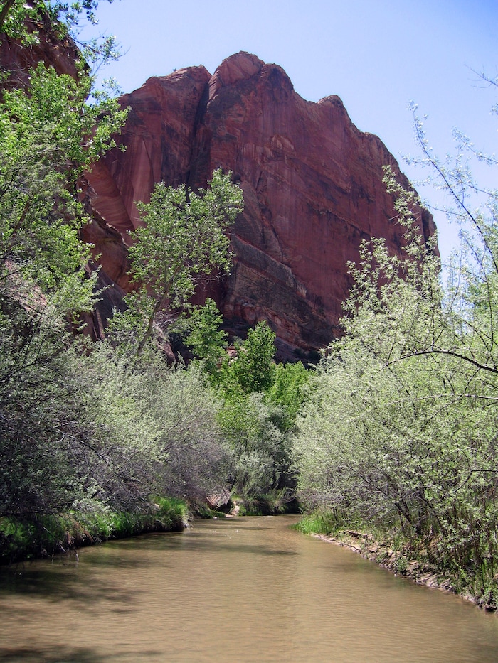 (photo courtesy Manny Mellor) Escalante River in the Grand Staircase-Escalante National Monument.