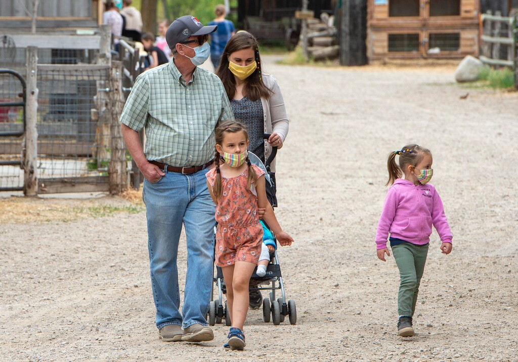 (Rick Egan  |  The Salt Lake Tribune)     Families enjoy Wheeler Farm for the first time since the coronavirus, Friday, May 22, 2020.