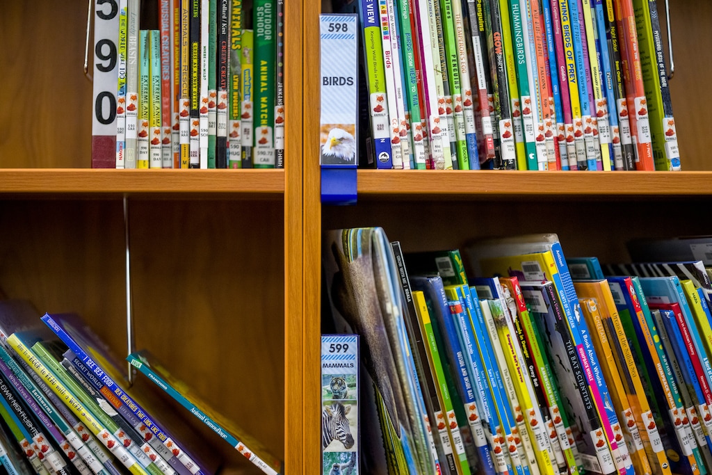 (Trent Nelson  |  The Salt Lake Tribune) Books in the library at Indian Hills Elementary School in Salt Lake City on Thursday, Jan. 15, 2026.