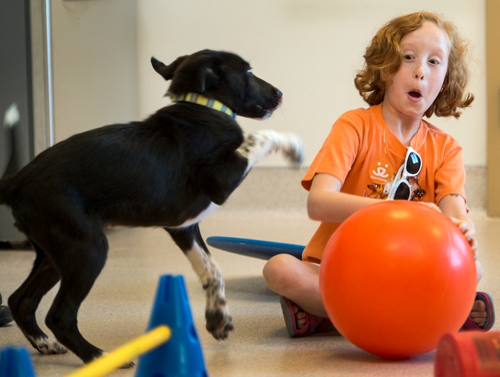 Leah Hogsten  |  The Salt Lake Tribune
Chloe Vowell, 8, giggles while playing with Mato, an 18-week-old puppy while on a tour of Best Friends with her mother and grandmother. Mato came from the nearby Navajo reservation with a bulging eye, due to infection from a Foxtail seed, and is fully healed. On average in a year, over 300 puppies are adopted out quickly after attending "puppy preschool," spay or neuter and a clean bill of health.  Best Friends saves thousands of animals every year as the nation's largest no-kill sanctuary, encompassing some 3,700 acres about 5 miles outside Kanab.
