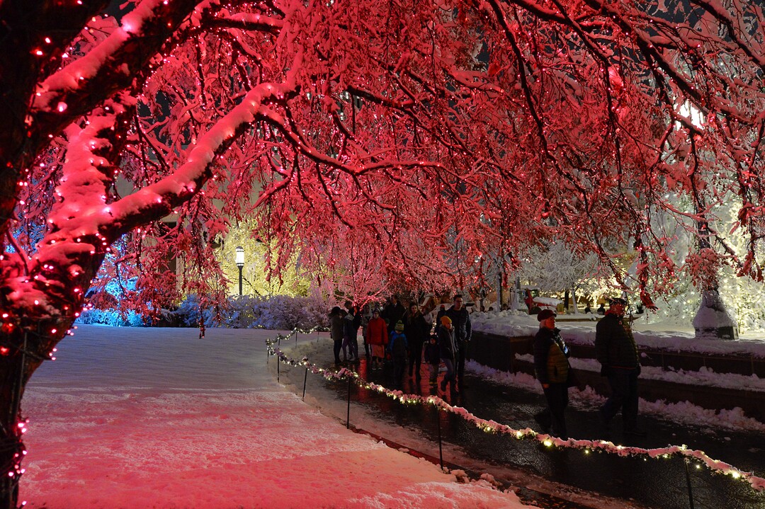 (Francisco Kjolseth  |  The Salt Lake Tribune)  Visitors take in the sights as Temple Square in Salt Lake City comes to life Friday, November 29, 2019, as hundreds of thousands of colorful LED bulbs light up, a yearly tradition that started in 1965. The lights will run through the end of the year.