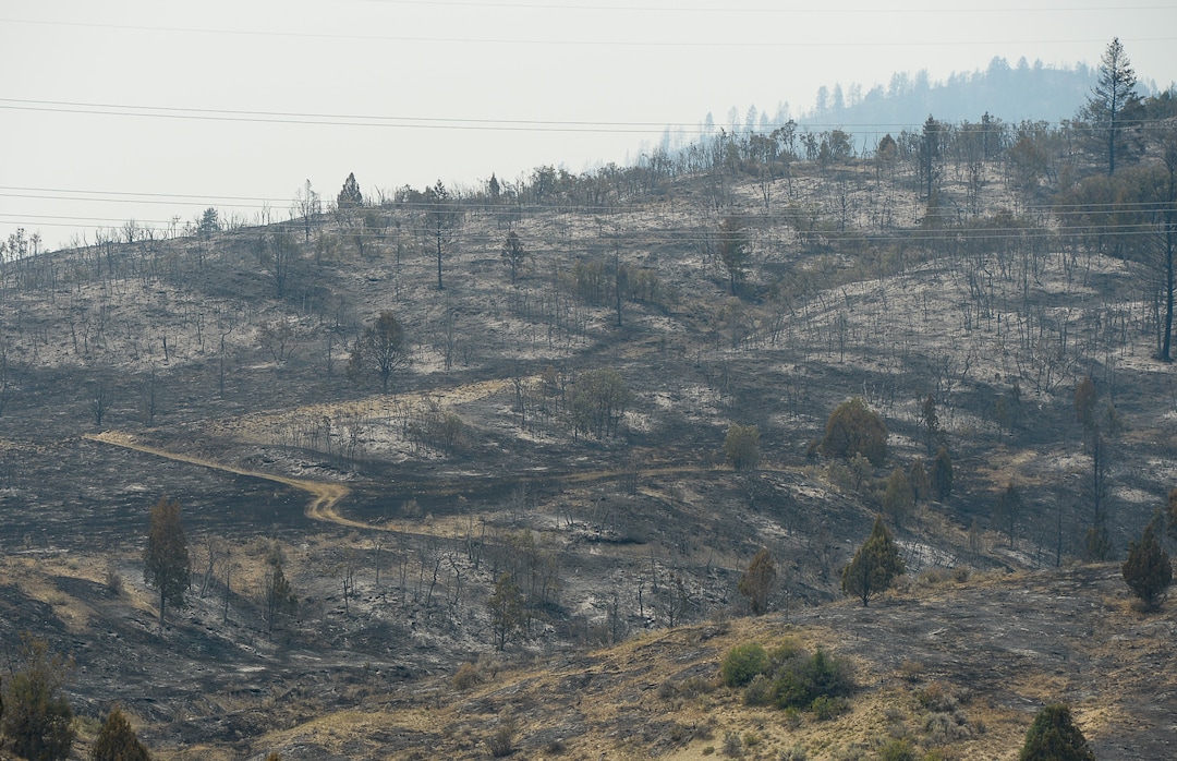(Francisco Kjolseth  |  The Salt Lake Tribune)  A charred landscape remains as crews continue to battle the Coal Hollow Fire near Highway 6 on Saturday, Aug. 11, 2018.
