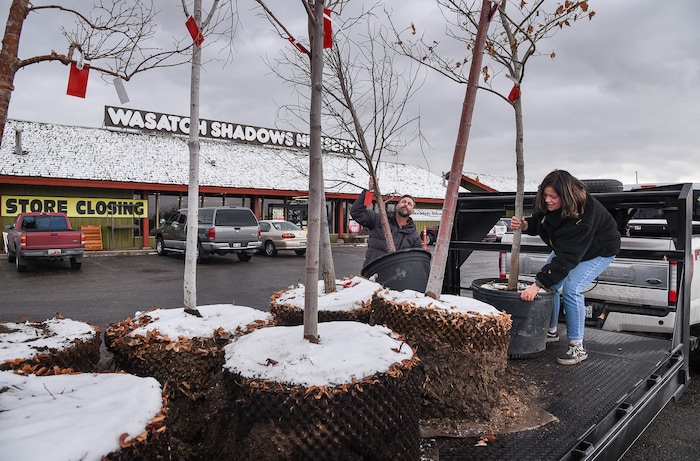 (Francisco Kjolseth  |  The Salt Lake Tribune)  Brent Thurman takes advantage of clearance prices as Lilly Tafoya, an employee at Wasatch Shadows Nursery r in Sandy helps him load up his trailer. Wednesday was the last day of business after 42 years.