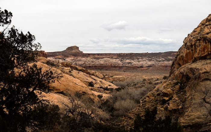 Rick Egan | The Salt Lake Tribune
The Butler Wash, where Mary Benally spent a year of her childhood east of Comb Ridge in Bears Ears National Monument. Thursday, January 12, 2017.