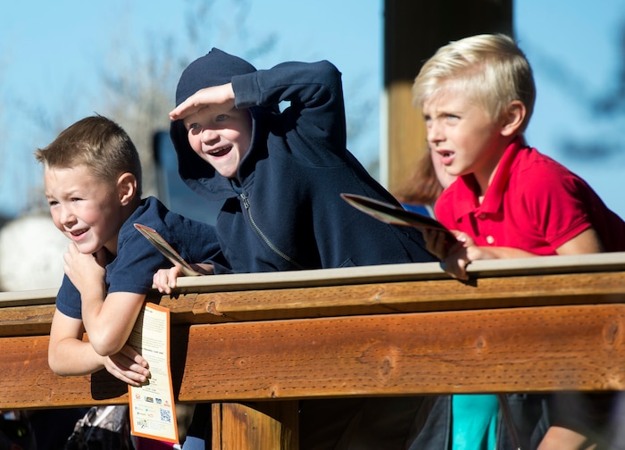 (Rick Egan | The Salt Lake Tribune) Kids get the first glimpse of Georgetta the baby giraffe, born Monday, Sept. 17, at Hogle Zoo, as she makes her public debut, Friday, Sept. 21, 2018.