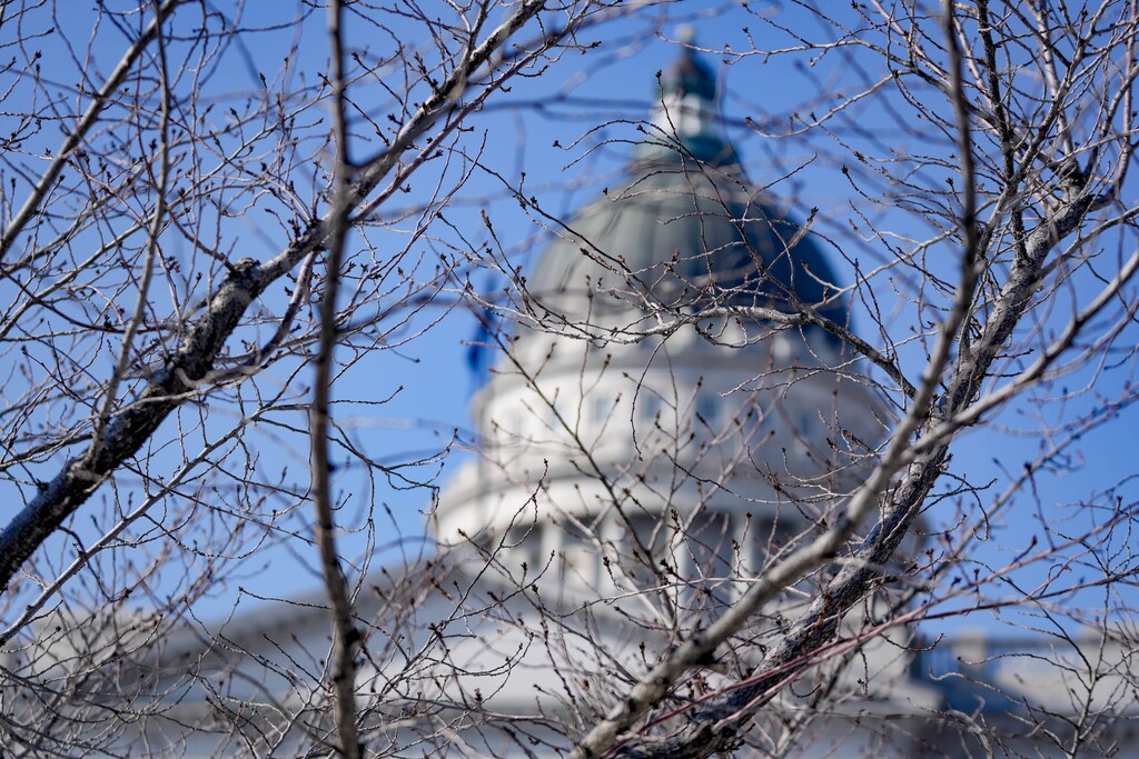 (Francisco Kjolseth | The Salt Lake Tribune) Cherry trees frame the Utah Capitol on Thursday, Feb. 2, 2023.