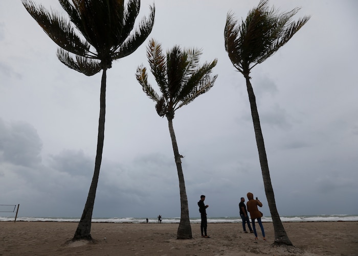 (AP Photo/Wilfredo Lee) People stand next to palm trees as they look at churning waves and high winds along Hollywood Beach, Fla., on Saturday, Sept. 9, 2017.