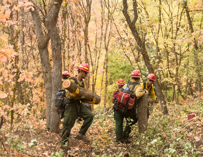 (Rick Egan  |  The Salt Lake Tribune)     Members of Grayback Forestry from Missoula Montana, work in the hills above in Woodland Hills, trying to lessen the impact of the possible flash floods, which have been forecast for the area. Monday, Oct. 1, 2018.


