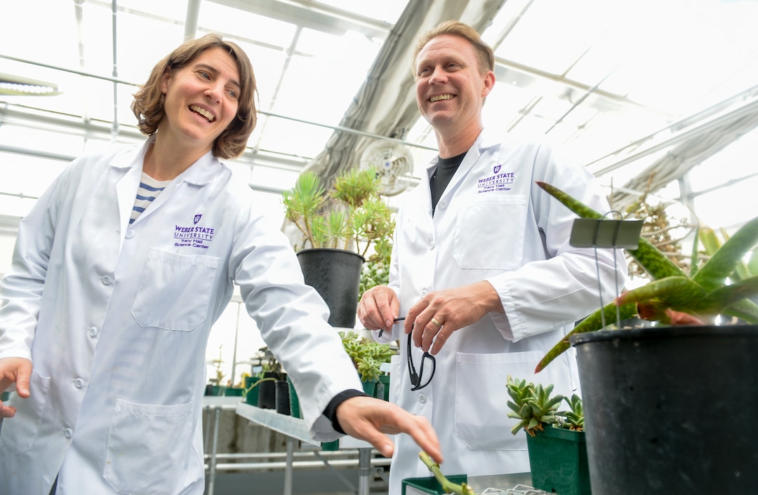 (Leah Hogsten  |  The Salt Lake Tribune) l-r Weber State Unversity botany professor Kat Schramm and Jeff Colbert discuss ColbertÕs graduate project to grow and study hemp in the schoolÕs greenhouse, Wednesday, May 22, 2019.