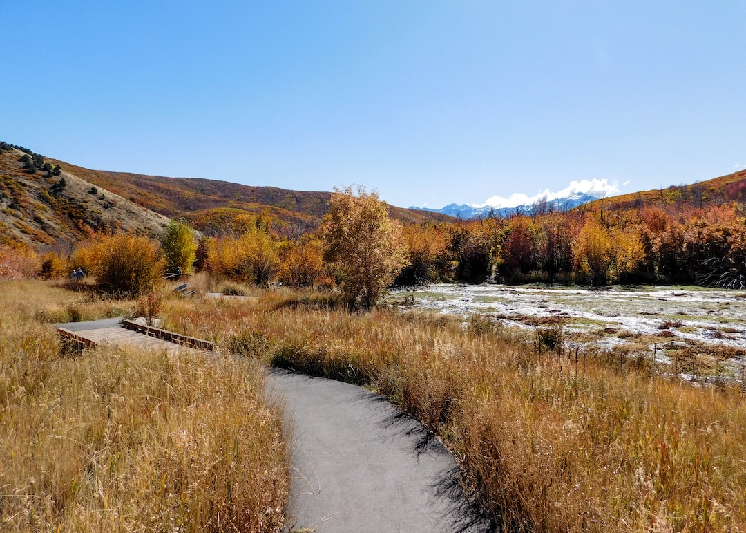 (Erin Alberty|The Salt Lake Tribune) Maples, oak, aspen and grasses line the Cascade Springs trail with fall color on Oct. 9, 2017 in Wasatch County.