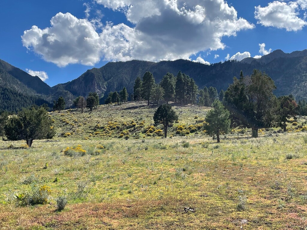 (U.S. Forest Service) Utah's Pine Valley Mountains in Dixie National Forest.