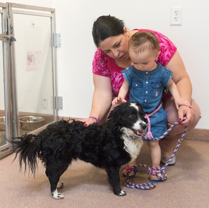 (Rick Egan  |  The Salt Lake Tribune)   Jan Claudia Turner shops for a pet with her 18-month-old daughter Alena, at the Humane Society of Utah, in Murray, Friday, April 27, 2018.