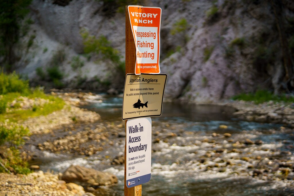 (Trent Nelson  |  The Salt Lake Tribune) A section of the Provo River near Victory Ranch in Woodland Valley on Tuesday, Aug. 17, 2021. 4th District Judge Derek Pullan reversed course from his prior rulings and concluded the public has no right to walk or touch the bottoms of streams crossing private land, like this stretch of the river.