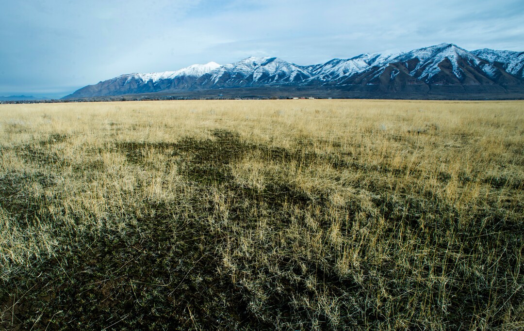 (Rick Egan  |  The Salt Lake Tribune)         The Romney Group, a private real estate investment company, is pushing for the creation of a 12,000-acre satellite port in Tooele County, which includes Erda. Tuesday, Jan. 28, 2020.