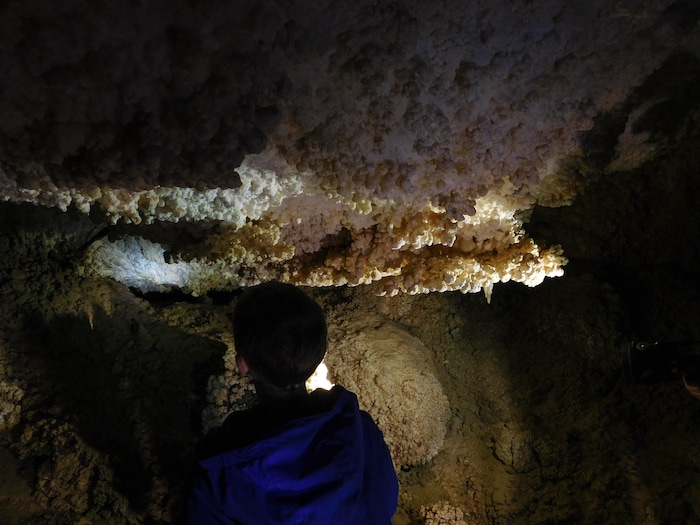 Erin Alberty  |  The Salt Lake TribuneA young visitor examines "cave popcorn" on the ceiling of Crystal Ball Cave on Feb. 20, 2017 in Gandy, Utah.