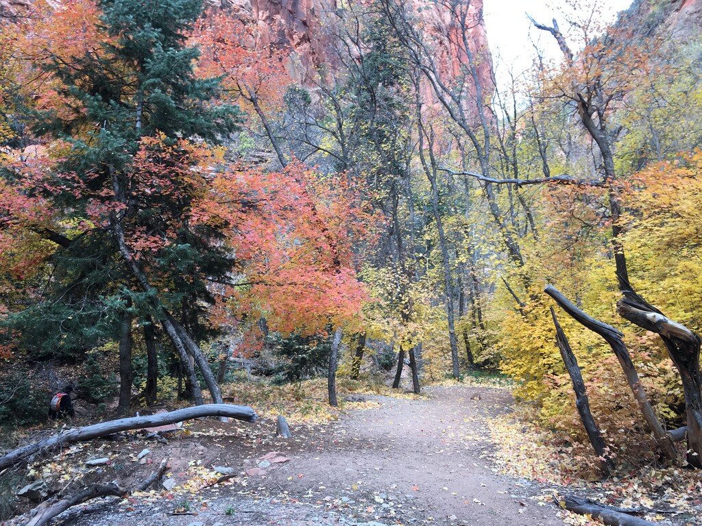 (Brian Maffly | The Salt Lake Tribune) Spring Canyon, a scenic hiking destination outside Zion National Park, is part of a proposed land swap in which the state would shed its extensive holdings inside Bears Ears National Monument. The Utah School and Institutional Trust Lands Administration owns a section in Spring Canyon that would be included among the 160,000 acres the state would give to the fed in exchange for 142,000 acres of federal land in 19 counties.