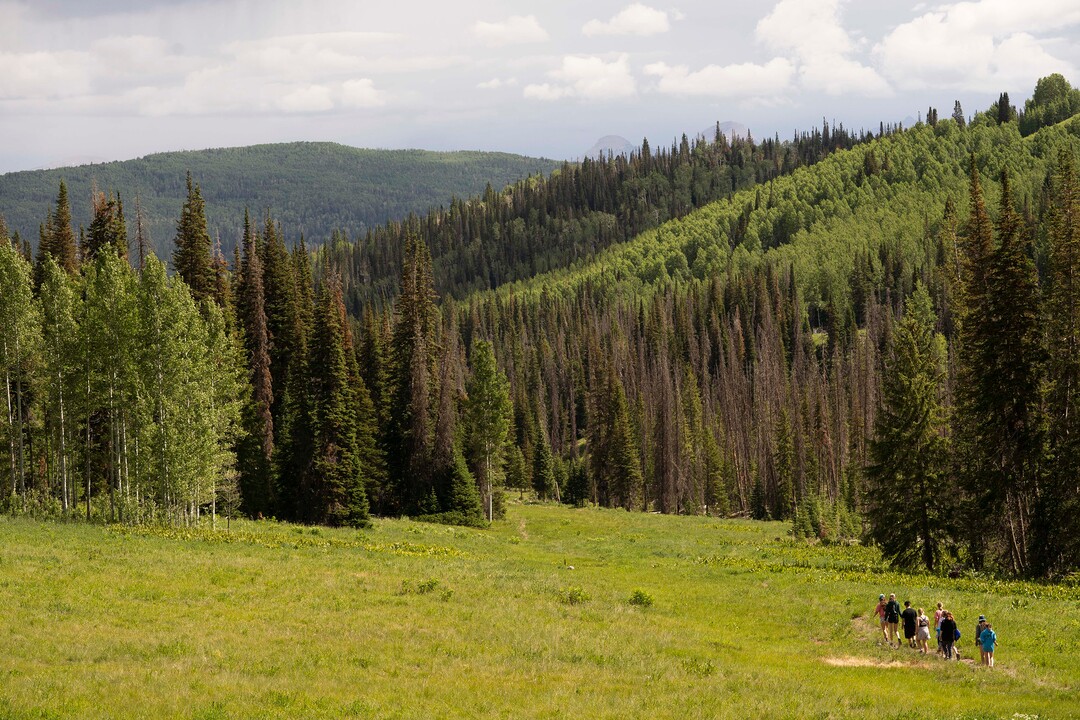 (Rick Egan | The Salt Lake Tribune)  Participants take a hike, during their week-long stay at the new Camp Hope, which the district attorneys office runs for kids who have observed or have been victims of violence, on Wednesday, June 30, 2021.