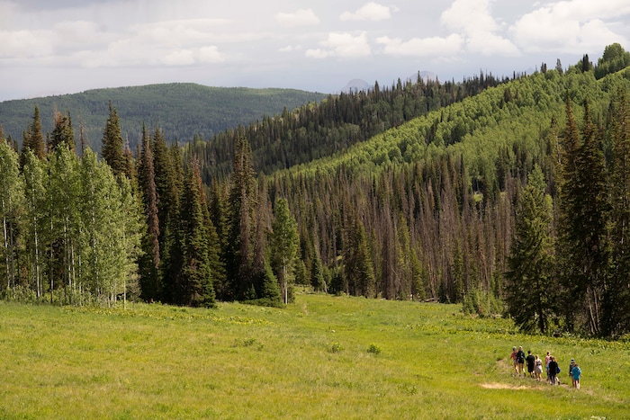 (Rick Egan | The Salt Lake Tribune)  Participants take a hike, during their week-long stay at the new Camp Hope, which the district attorneys office runs for kids who have observed or have been victims of violence, on Wednesday, June 30, 2021.