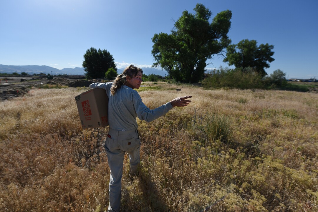 (Francisco Kjolseth  |  The Salt Lake Tribune)  Catherine Kirby, with Noble Horse Sanctuary, displays her compassion for animals by moving a weak and dehydrated young red-tailed hawk back to the cottonwood tree that contains its nest.