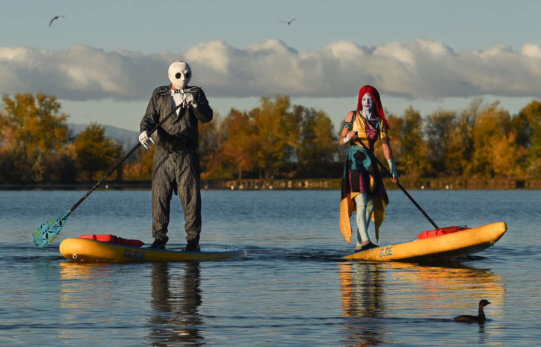 (Francisco Kjolseth  |  The Salt Lake Tribune)  Stand up paddle board enthusiasts Chris Knoles and Roxy Christensen take to the water at Bountiful Pond on Tuesday, Oct. 30, 2018, in what has become a Halloween tradition for the 4th year in a row as they dress up this year as Jack and Sally Skellington from the movie Nightmare Before Christmas. "We paddle year round but actually paddle more in the winter," exclaimed Knoles, who carry the tradition on at Christmas, dressing up in something festive and paddling on the Great Salt Lake where the high salinity usually keeps the water from freezing.