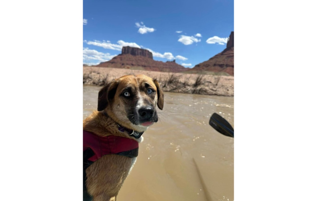 (Jayme Carraway) Meadow is photographed on the river before her ordeal began.