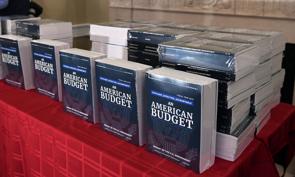 The President's FY19 Budget is on display after arriving on Capitol Hill in Washington, Monday, Feb. 12, 2018. (AP Photo/Susan Walsh)