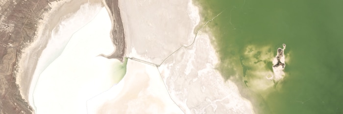 (Planet) A satellite image of Gunnison Island, in the north arm of the Great Salt Lake, on April 27, 2020.