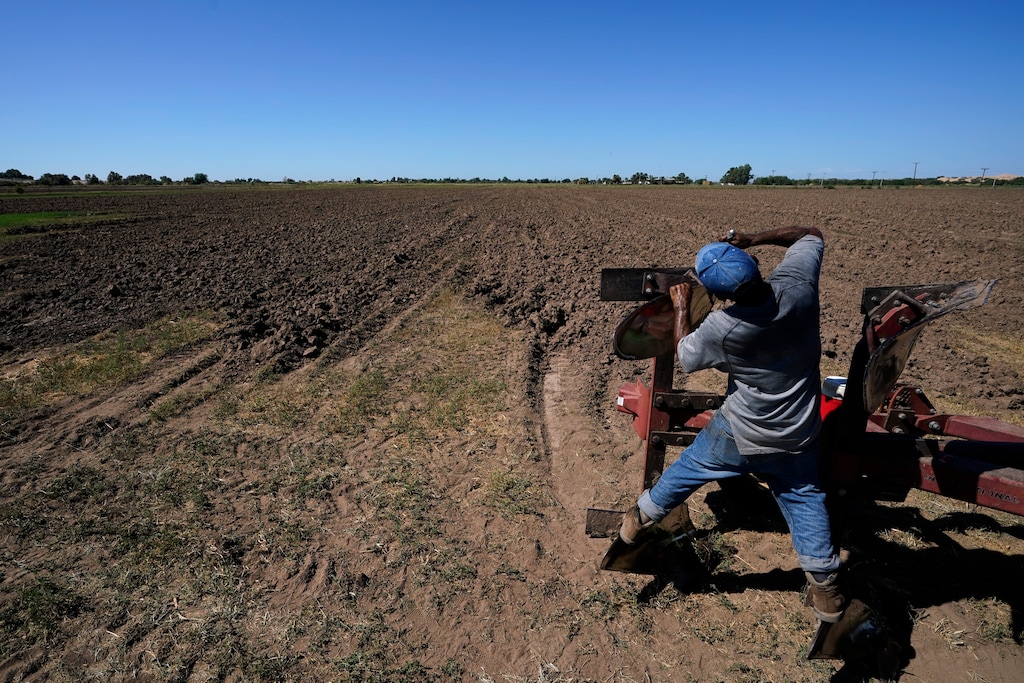 (Gregory Bull | AP) Jose Garcia works to remove a broken blade on a plow on a farm irrigated with water from the Colorado River, Sunday, Aug. 14, 2022, near Los Algodones, Mexico. Steep water cuts to U.S. states using Colorado River water are looming, which means that Mexico could face more cuts, too.