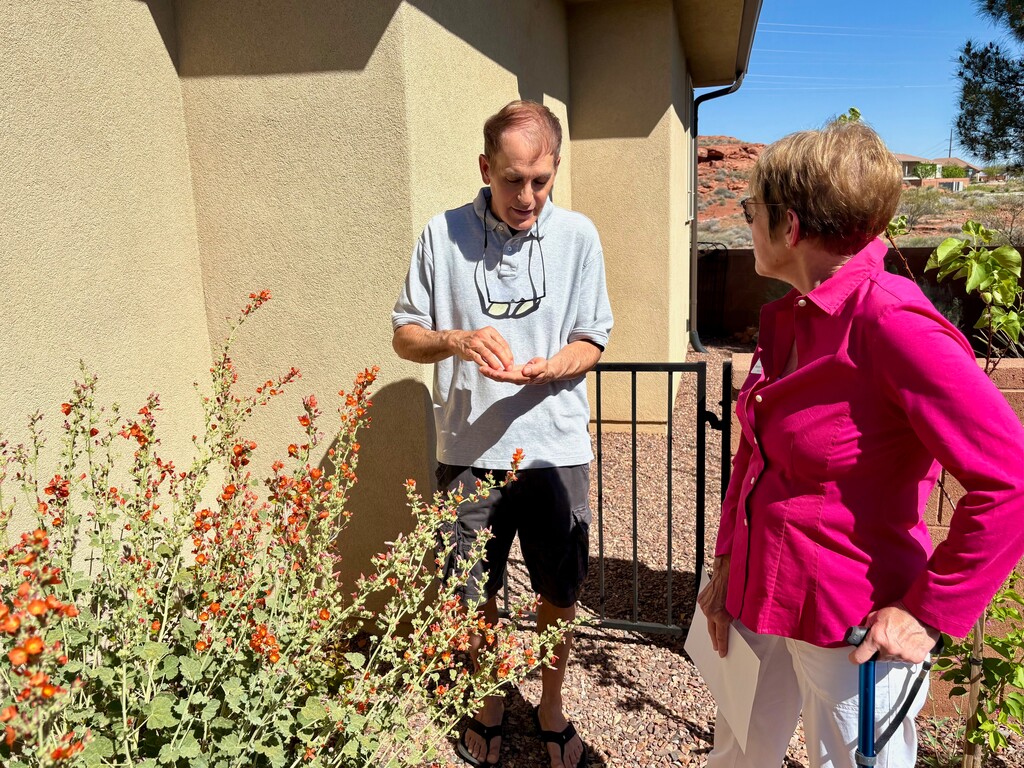 A white man in a grey shirt and dark shorts holds a globemallow flower while talking with a white woman wearing a bright pink button-down shirt and white pants.