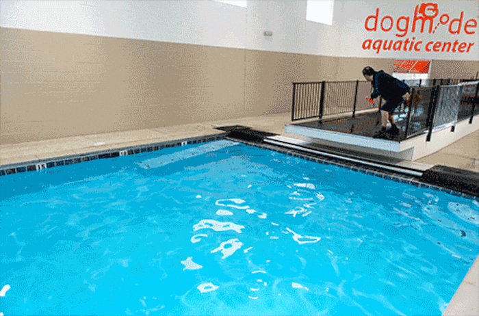 (Trent Nelson | The Salt Lake Tribune) David Valdez works with Dexter in the new Aquatic Fitness Center at DogMode in Salt Lake City on Tuesday, Nov. 28, 2017.