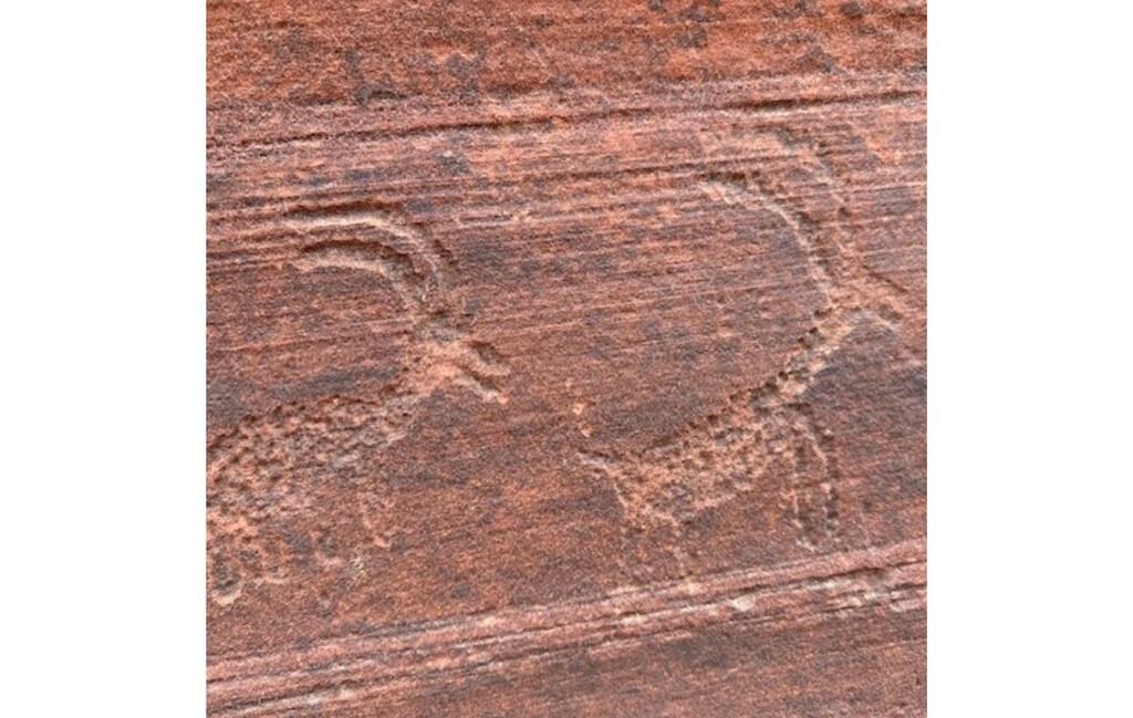 (Bureau of Land Management - Utah) The petroglyph panel at Wire Pass Trail before it was vandalized. A woman is accused of vandalizing the panel on Monday, Nov. 23, 2024, as members of the public told her to stop and took photos of the act, the BLM says.