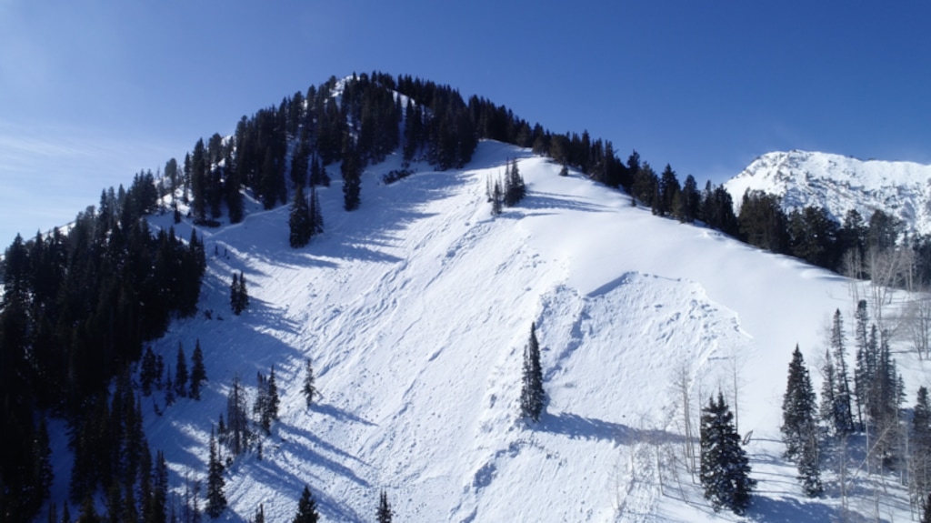 (Photo courtesy of the Utah Avalanche Center) This photo taken Feb. 6, 2021, shows the 1,000-foot-wide avalanche that swept down northeast-facing Wilson Glade in Mill Creek Canyon, carrying four skiers from two separate parties to their deaths. One skier clung to a tree to escape the slide and then rescued two others who were completely buried, according to the Utah Avalanche Center.