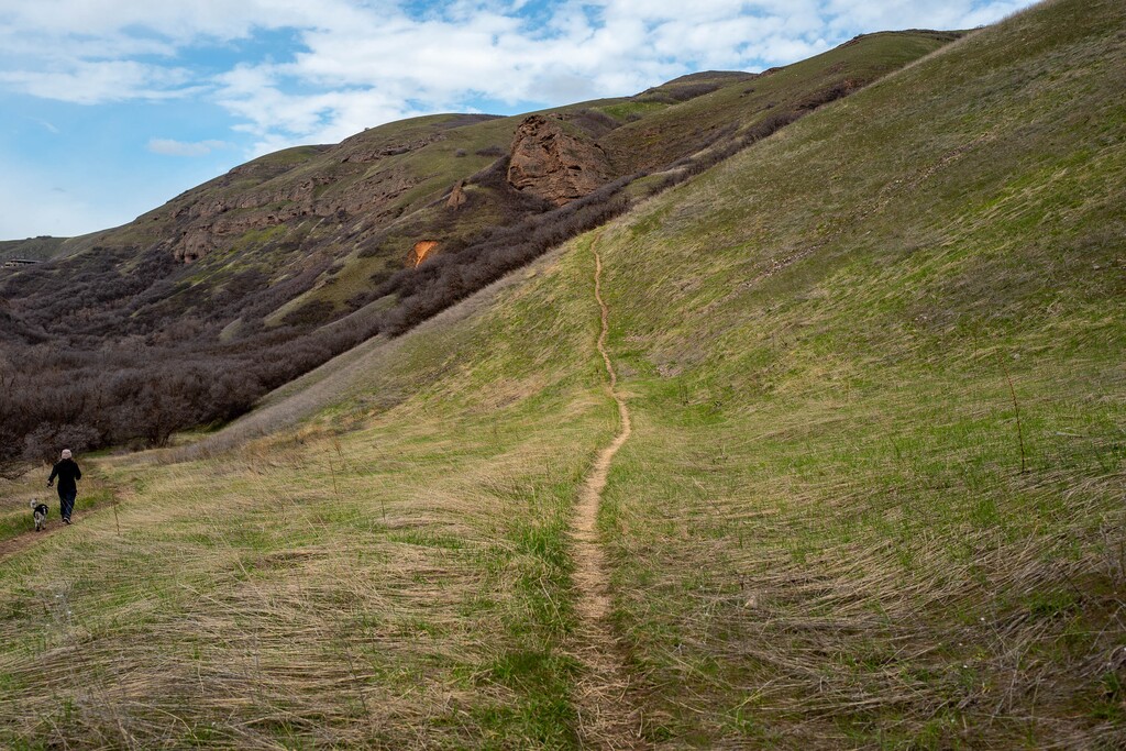 (Trent Nelson | Tribune file photo) A hiker and her dog in City Creek Canyon in Salt Lake City on Sunday, April 5, 2020.