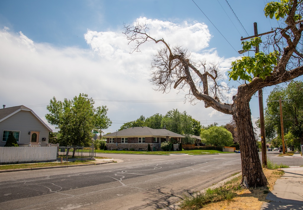 (Sara Diggins | Special to The Tribune) Unshaded pavement in Poplar Grove on July 16, 2021.