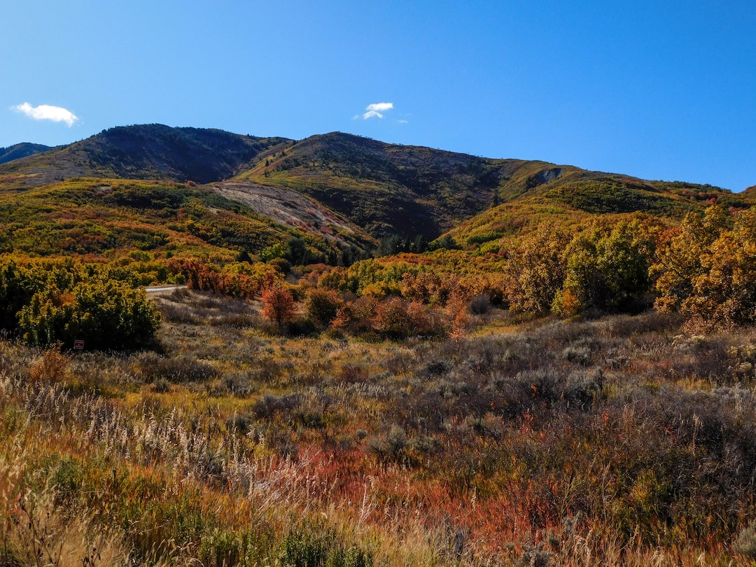 (Erin Alberty|The Salt Lake Tribune) Golden oaks and red-orange maples blanket the hills of Parley's Canyon on Oct. 9, 2017 between Park City and Salt Lake City.