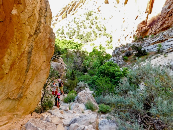 Erin Alberty  |  The Salt Lake TribuneA family hikes in Box Canyon on May 29, 2017 in Dinosaur National Monument.