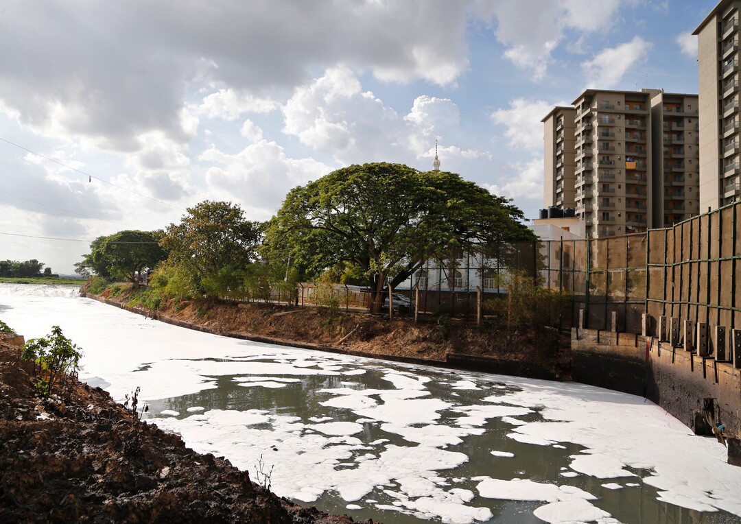 FILE - In this June 5, 2017, file photo, toxic froth from industrial pollution floats on Bellundur Lake on World Environment Day, in Bangalore, India. Environmental pollution - from filthy air to contaminated water - is killing more people every year than all war and violence in the world.  (AP Photo/Aijaz Rahi, File)