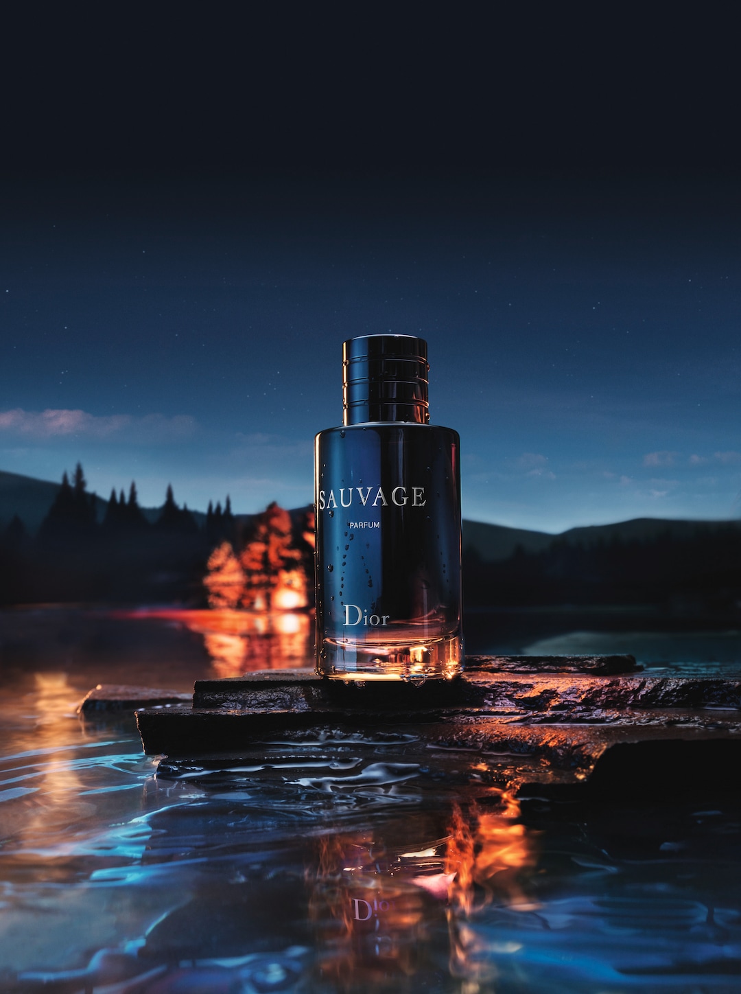 (Image courtesy Parfums Christian Dior) 
An image of the product in a commercial for Christian Dior's men's fragrance Sauvage, filmed in southeast Utah.