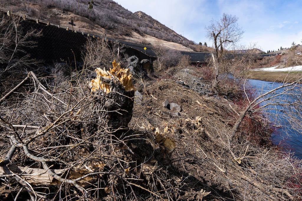 (Rick Egan | The Salt Lake Tribune)  Hundreds of trees have been removed from along the Provo River, pictured on Thursday, where UDOT is building a 3.5 mile trail through Provo Canyon.