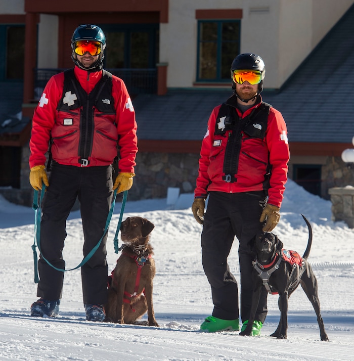 (Rick Egan  |  The Salt Lake Tribune)       Solitude Avalanche dog Joni with her handler, Jasper Anderson and Lumen with his handler, Trevor John, Thursday, March 5, 2020.