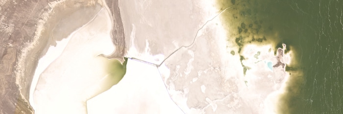 (Planet) A satellite image of Gunnison Island, in the north arm of the Great Salt Lake, on June 12, 2015.