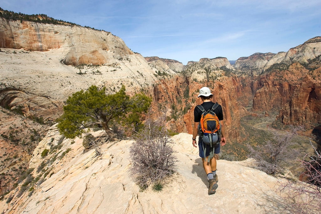 (Al Hartmann  |  Tribune file photo) A hiker looks into the valley floor of Zion Canyon from the top of Angel's Landing Trail in Zion National Park. The National Park Service is considering raising the price of entry at Zion and 16 other busy parks to $70 per vehicle.