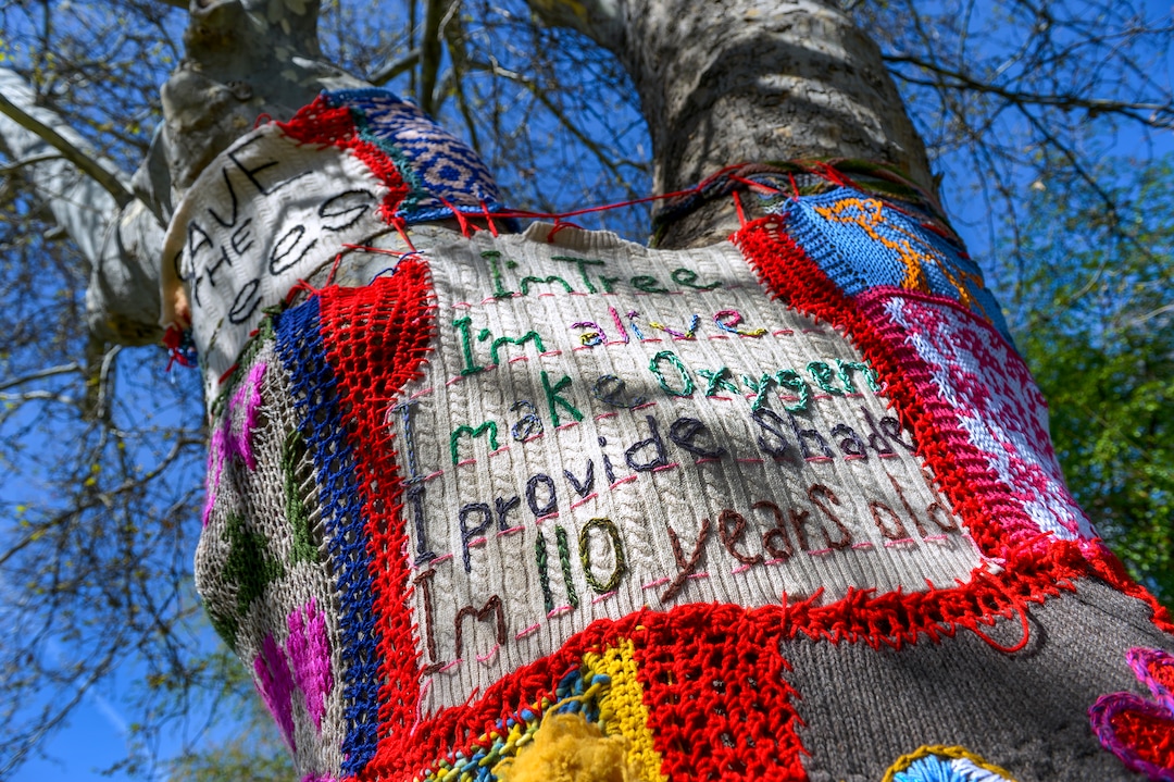Leah Hogsten  |  The Salt Lake Tribune   "I wanted to have a voice specifically for the trees," said Katie Pugh, who yarn bombed the trees in City Creek Park across from her home for the week to celebrate Earth Day and Arbor Day. "It's awesome that the park exists and its been unaltered for so long." Salt Lake City's Department of Public Utilities has proposed a series of upgrades for its Memory Grove, but neighborhood residents say a new pump house the city wants to build is too big, unsightly and threatens to take out several mature trees and ruin the aesthetics of the park.
