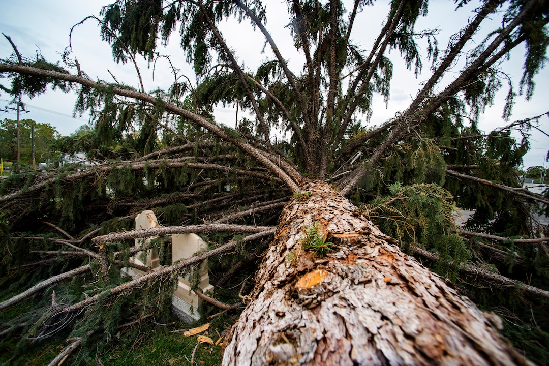 (Rick Egan  |  The Salt Lake Tribune)    Hundreds of headstones in the Salt Lake City Cemetery were damages in the recent wind storm, Friday, Sept. 18, 2020.