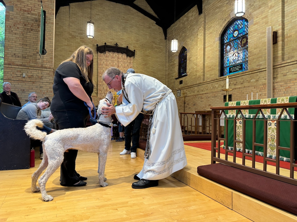 (Clarissa Casper | The Salt Lake Tribune) The Rev. Jason Samuel blesses Link the Goldendoodle at St. John’s Episcopal Church on Friday, Oct. 4, 2024.