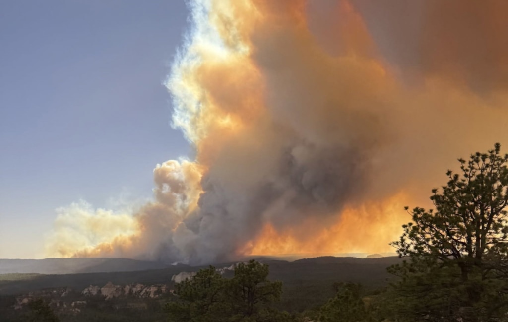 (U.S. Forest Service) Smoke rises from the Babylon Fire near Blanding on June 27. The wildfire has grown to more than 48,000 acres, destroyed multiple structures and prompted widespread public land closures in San Juan County.