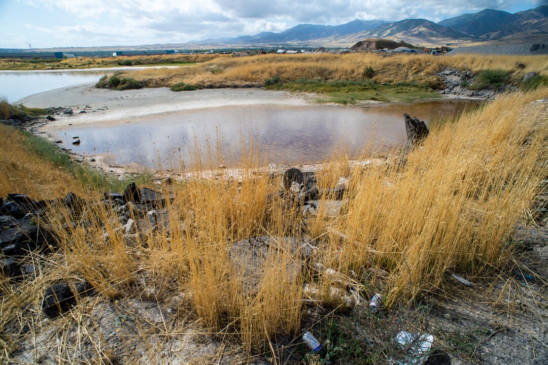 (Rick Egan  |  The Salt Lake Tribune)   Tires and garbage along 2100 South near 7200 West. The Salt Lake City Council is considering a temporary closure for a portion of road on 2100 South between 6500 West and 6900 West as a result of pervasive illegal dumping. Tuesday, Sept. 17, 2019.