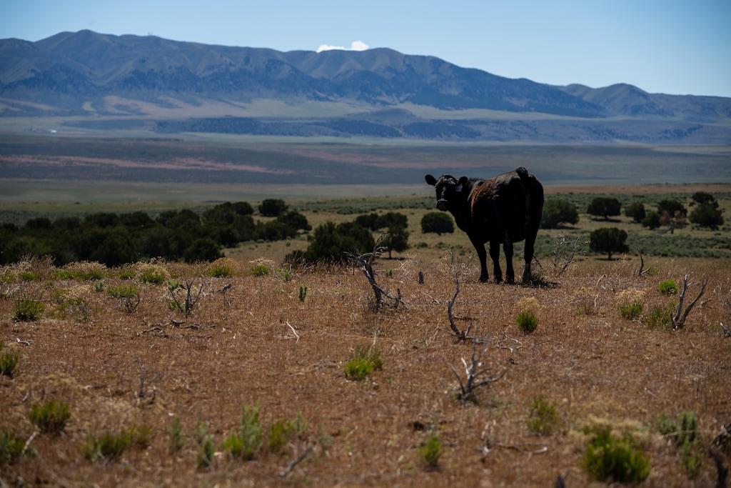 (Trent Nelson  |  The Salt Lake Tribune) Hansel Valley on Friday, May 1, 2026. Some ranchers see the proposed data center project as a way to sustain their way of life.